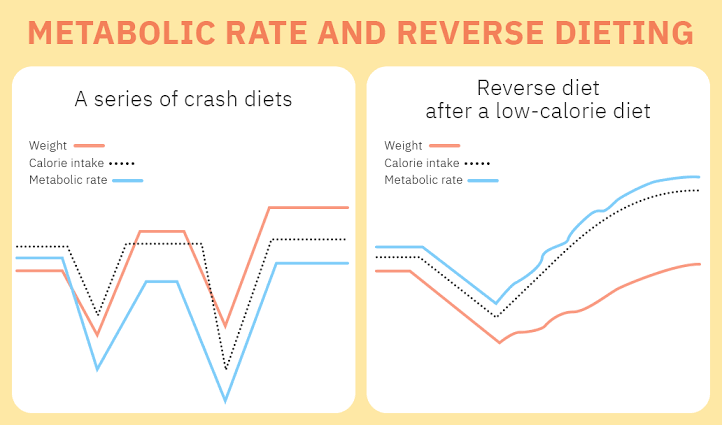 Reverse Dieting: The New Science of Sustainable Weight Loss