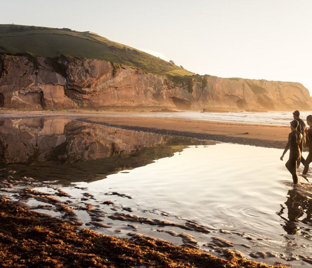 Picture of 7 Best Triathlon Nutrition Supplements That Actually Work