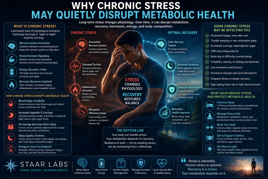 Futuristic metabolic physiology illustration showing chronic stress, nervous system overload, cortisol signaling, energy instability, recovery physiology, and long-term metabolic resilience.