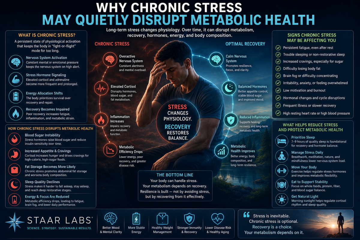 Futuristic metabolic physiology illustration showing chronic stress, nervous system overload, cortisol signaling, energy instability, recovery physiology, and long-term metabolic resilience.