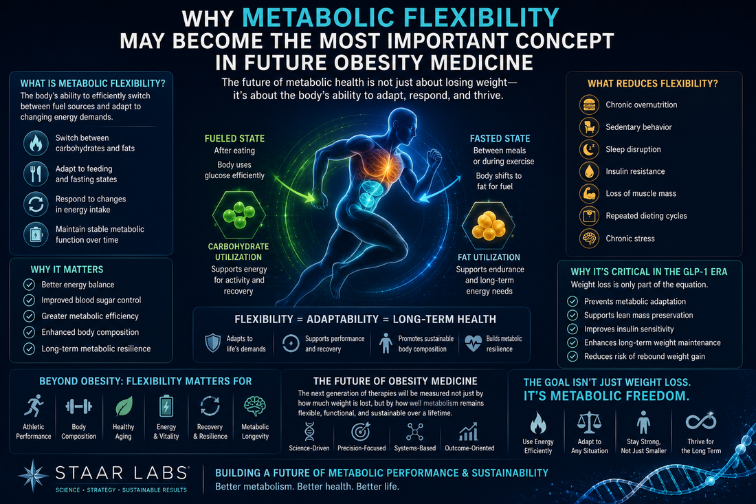 Futuristic metabolic medicine illustration showing energy regulation, metabolic flexibility, fuel switching, body composition optimization, and adaptive metabolism in next-generation obesity therapy.