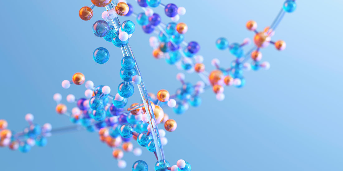 Essential Amino Acids vs. BCAAs: Which One Do You Need?