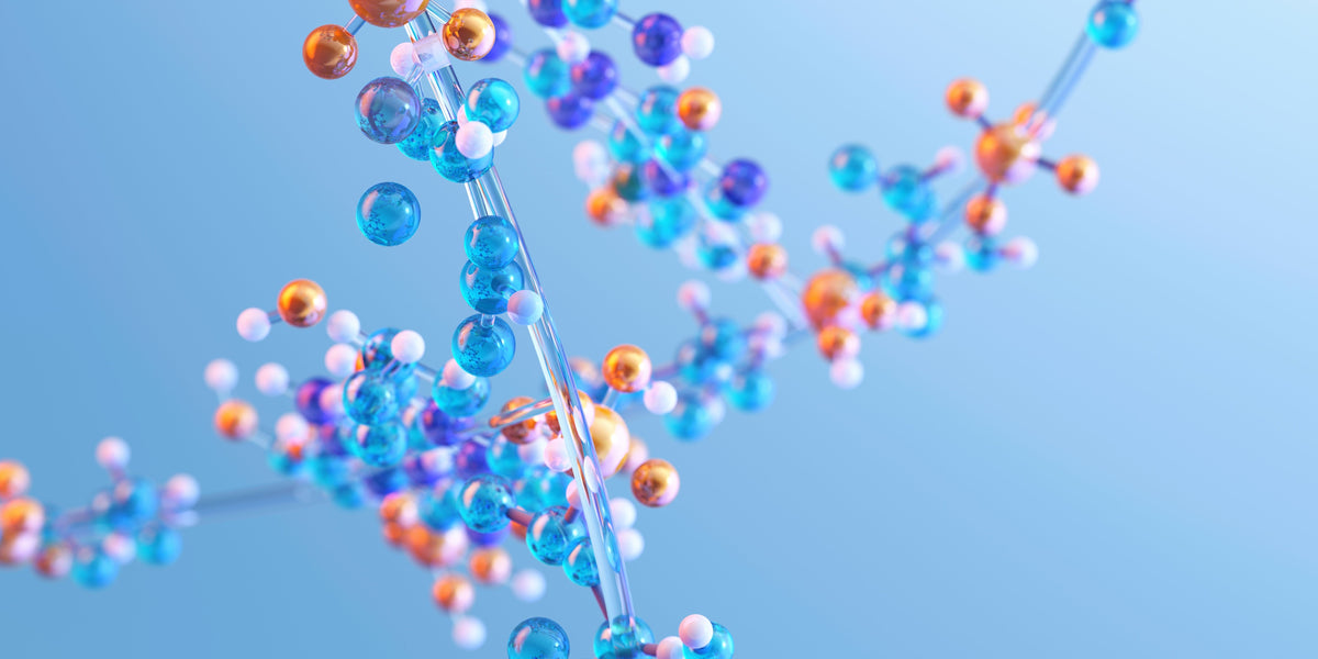 Essential Amino Acids vs. BCAAs: Which One Do You Need?
