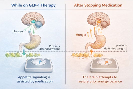 Diagram showing why weight regain can occur after stopping GLP-1 medications like semaglutide or tirzepatide due to the brain’s defended body weight regulation