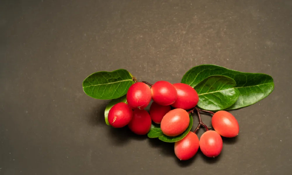 What Is the Difference Between Berberine and Berberine HCl?